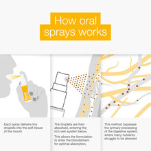 تحميل الصورة إلى عارض المعرض، BetterYou B-Complete Oral Spray 3 Packs