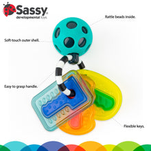 Carica l'immagine nel visualizzatore di Gallery, Sassy Drive & Drool Keys