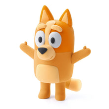 Lade das Bild in den Galerie-Viewer, Hey Clay 15 Can Set Bluey