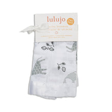 Load image into Gallery viewer, Lulujo Muslin Security Comforter Blanket 2pk