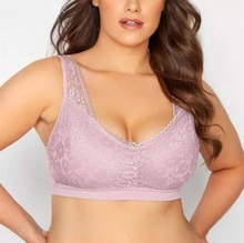 تحميل الصورة إلى عارض المعرض، Ladies Lace Pull On Padded Bra
