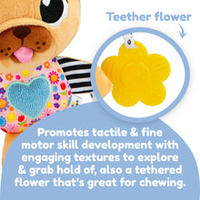 Load image into Gallery viewer, Lamaze Lovey The Pug

