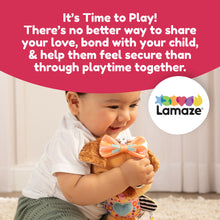 Load image into Gallery viewer, Lamaze Lovey The Pug
